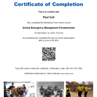 PSI_AEM_Certificate